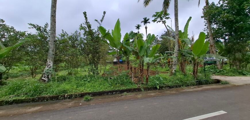 Dijual tanah kebun jambu biji luasan kecil berada di kecamatan baturiti tabanan