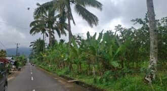 Dijual tanah kebun jambu biji luasan kecil berada di kecamatan baturiti tabanan