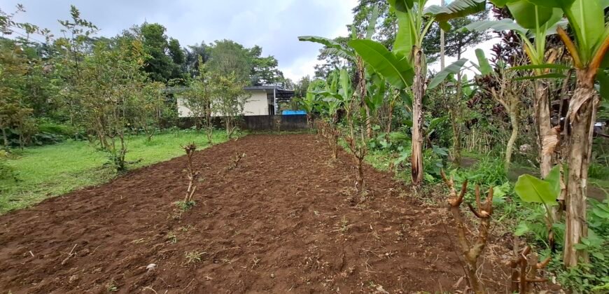 Dijual tanah kebun jambu biji luasan kecil berada di kecamatan baturiti tabanan