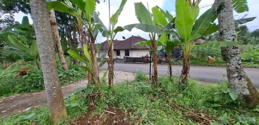Dijual tanah kebun jambu biji luasan kecil berada di kecamatan baturiti tabanan