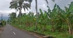 Dijual tanah kebun jambu biji luasan kecil berada di kecamatan baturiti tabanan