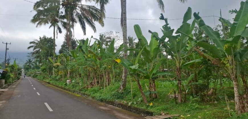Dijual tanah kebun jambu biji luasan kecil berada di kecamatan baturiti tabanan