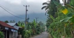 Dijual tanah kebun jambu biji luasan kecil berada di kecamatan baturiti tabanan