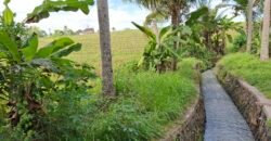 Dijual tanah kebun view sawah dekat pantai pariwista di selemadeg tabanan