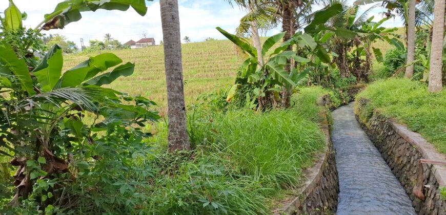Dijual tanah kebun view sawah dekat pantai pariwista di selemadeg tabanan