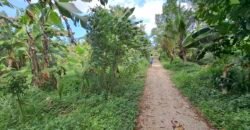 Dijual tanah kebun view sawah dekat pantai pariwista di selemadeg tabanan