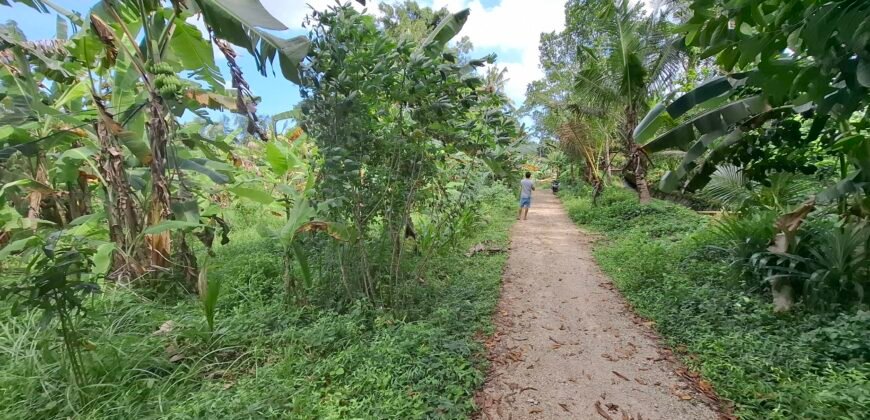 Dijual tanah kebun view sawah dekat pantai pariwista di selemadeg tabanan