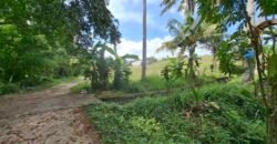 Dijual tanah kebun view sawah dekat pantai pariwista di selemadeg tabanan