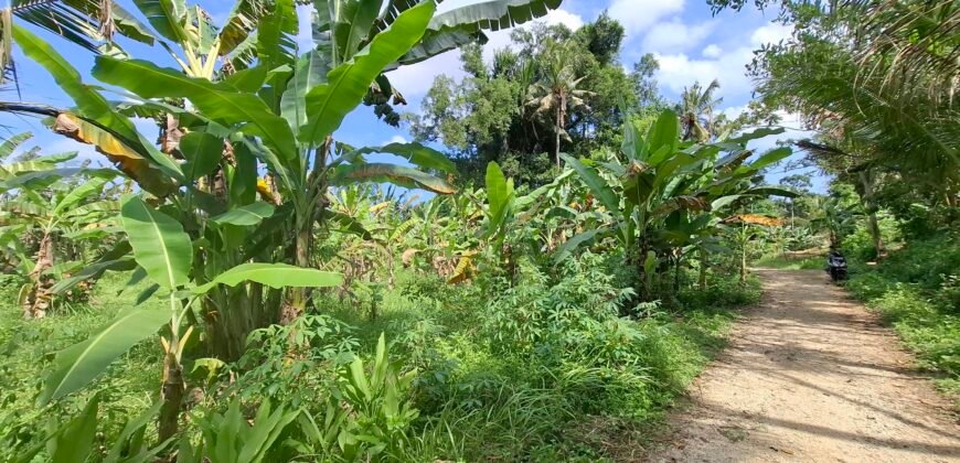 Dijual tanah kebun view sawah dekat pantai pariwista di selemadeg tabanan