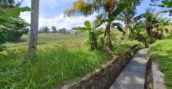Dijual tanah kebun view sawah dekat pantai pariwista di selemadeg tabanan