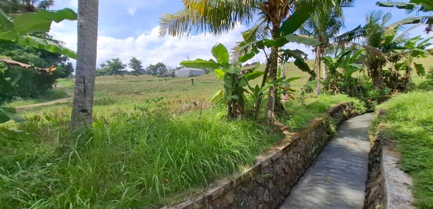 Dijual tanah kebun view sawah dekat pantai pariwista di selemadeg tabanan