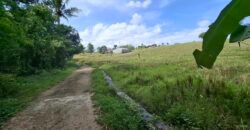 Dijual tanah kebun view sawah dekat pantai pariwista di selemadeg tabanan