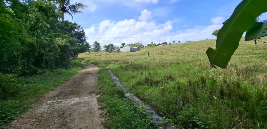 Dijual tanah kebun view sawah dekat pantai pariwista di selemadeg tabanan