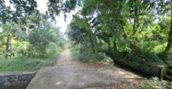 Dijual tanah kebun view sawah dekat pantai pariwista di selemadeg tabanan