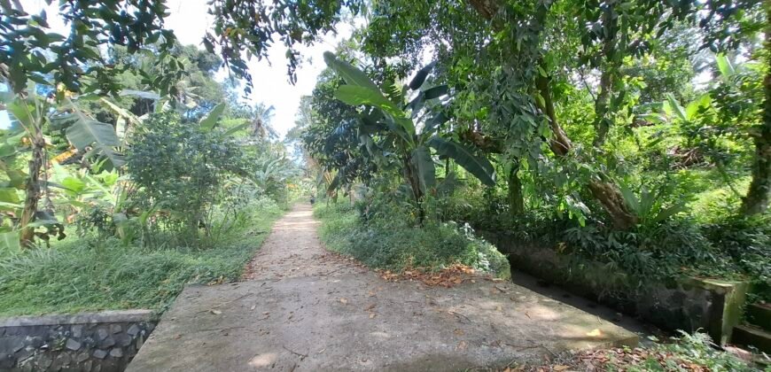 Dijual tanah kebun view sawah dekat pantai pariwista di selemadeg tabanan