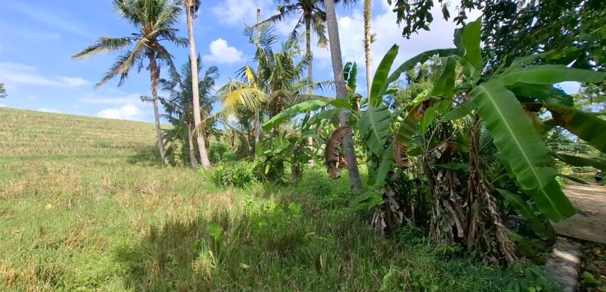 Dijual tanah kebun view sawah dekat pantai pariwista di selemadeg tabanan
