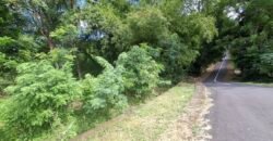 Dijual tanah kebun los sungai dan view sawah