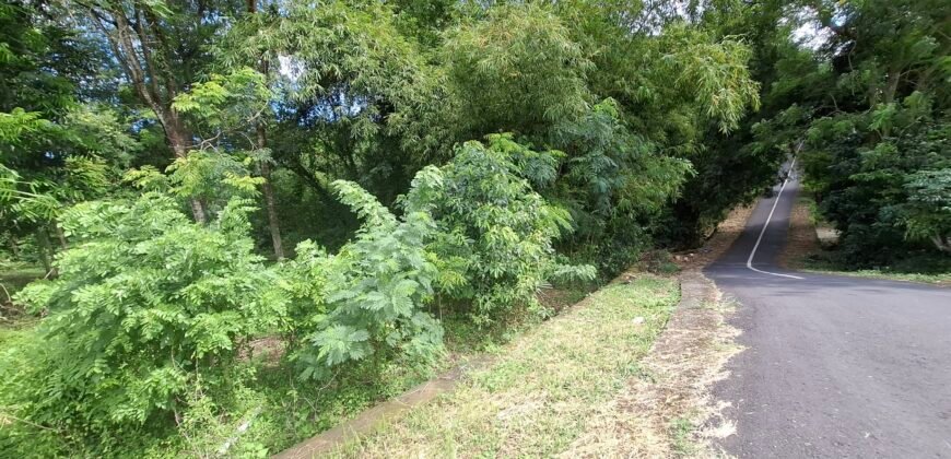 Dijual tanah kebun los sungai dan view sawah