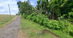 Dijual tanah kebun los sungai dan view sawah