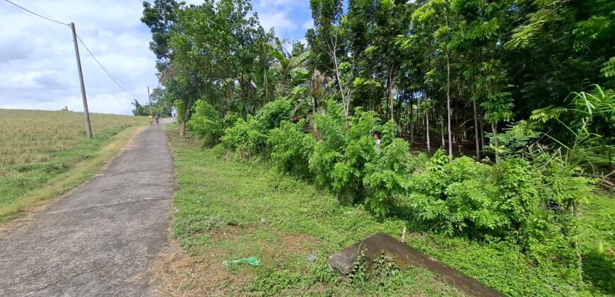 Dijual tanah kebun los sungai dan view sawah