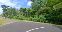 Dijual tanah kebun los sungai dan view sawah