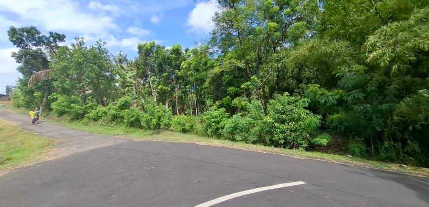 Dijual tanah kebun los sungai dan view sawah