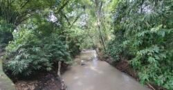 Dijual tanah kebun los sungai dan view sawah