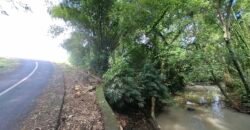 Dijual tanah kebun los sungai dan view sawah