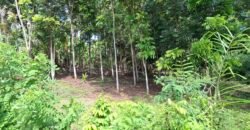 Dijual tanah kebun los sungai dan view sawah