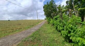 Dijual tanah kebun los sungai dan view sawah