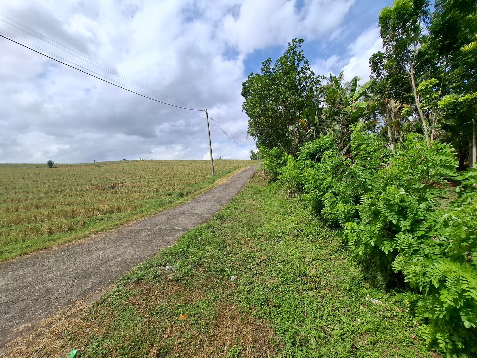 Dijual tanah kebun los sungai dan view sawah