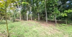 Dijual tanah kebun los sungai dan view sawah