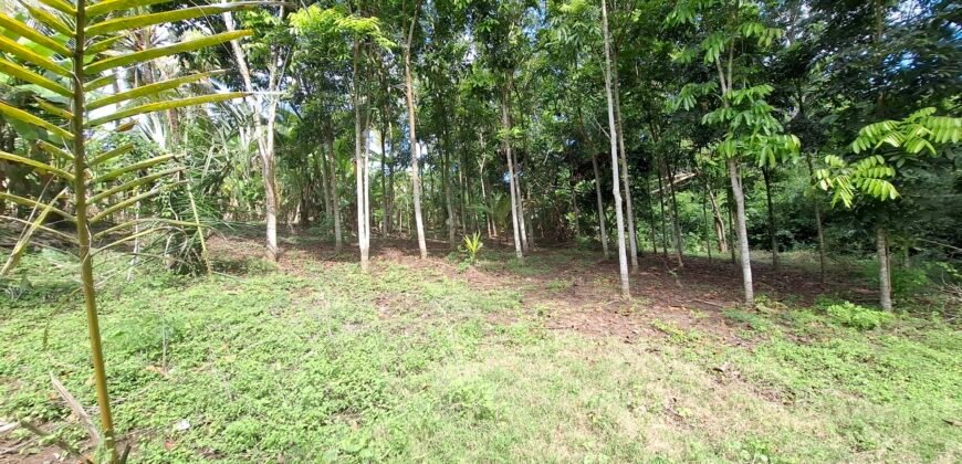 Dijual tanah kebun los sungai dan view sawah