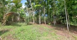 Dijual tanah kebun los sungai dan view sawah