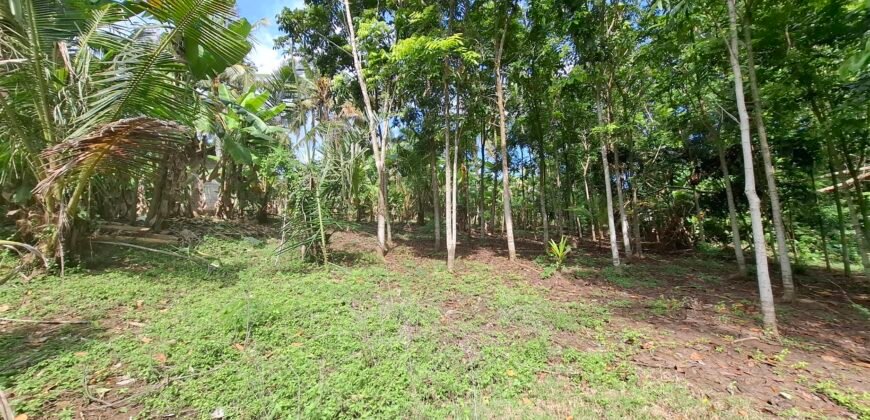 Dijual tanah kebun los sungai dan view sawah