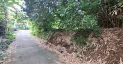 Dijual tanah kebun 500m² zona kuning dekat pantai