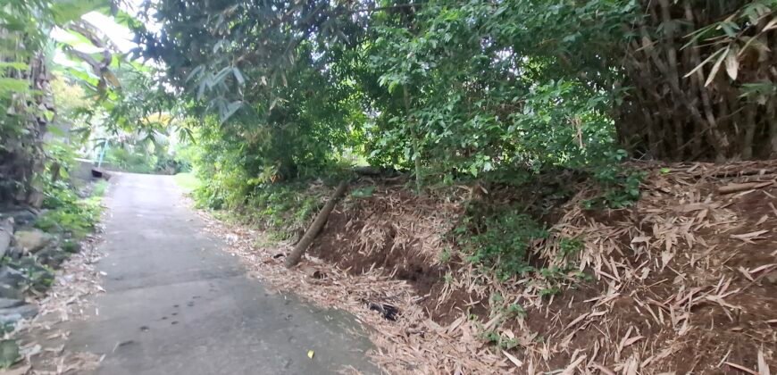 Dijual tanah kebun 500m² zona kuning dekat pantai