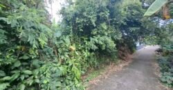 Dijual tanah kebun 500m² zona kuning dekat pantai