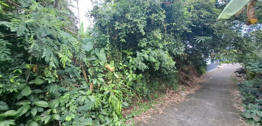 Dijual tanah kebun 500m² zona kuning dekat pantai
