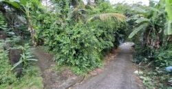 Dijual tanah kebun 500m² zona kuning dekat pantai