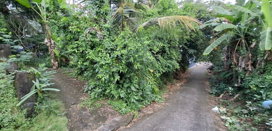 Dijual tanah kebun 500m² zona kuning dekat pantai