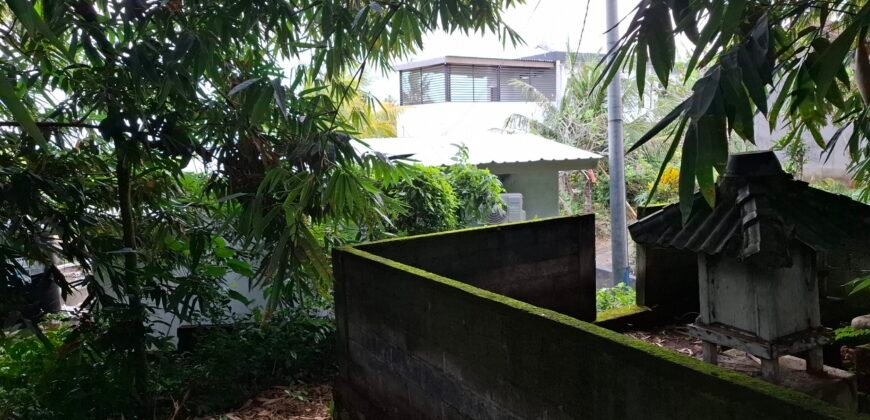 Dijual tanah kebun 500m² zona kuning dekat pantai