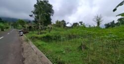 Dijual tanah kebun ketinggian