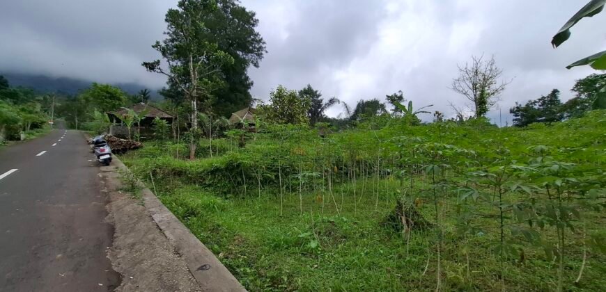 Dijual tanah kebun ketinggian