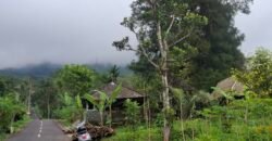 Dijual tanah kebun ketinggian