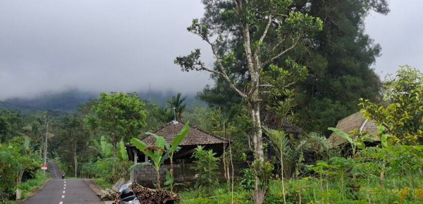 Dijual tanah kebun ketinggian