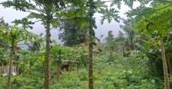 Dijual tanah kebun ketinggian