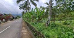 Dijual tanah kebun ketinggian