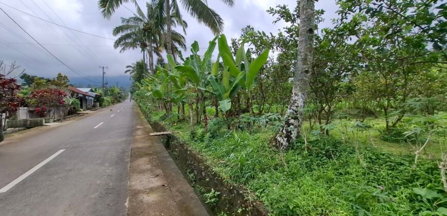 Dijual tanah kebun ketinggian