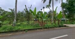 Dijual tanah kebun ketinggian